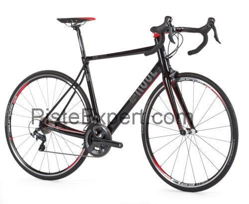 Rose Xeon Team GF fiche technique et avis